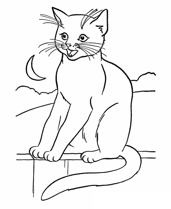 Cat Printable Coloring Page Free Printable Coloring Pages for Kids