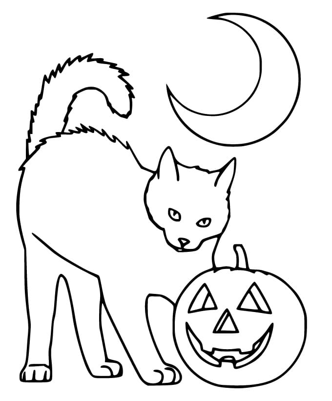 Cat, Pumpkin and Moon