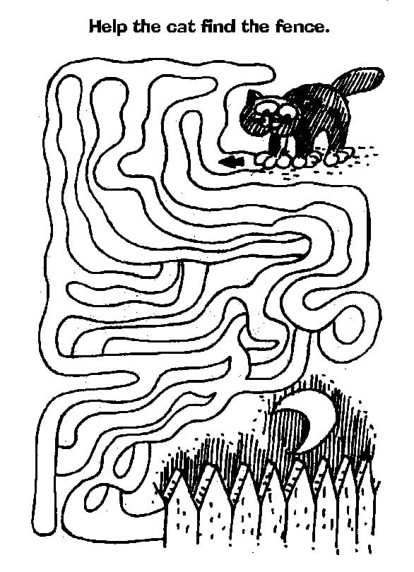 Cat with Maze