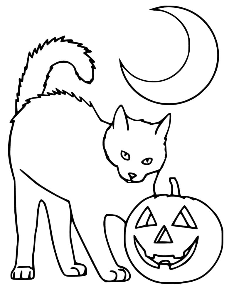 Cat with Pumpkin and Moon