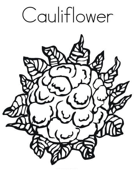 Cauliflower Printable
