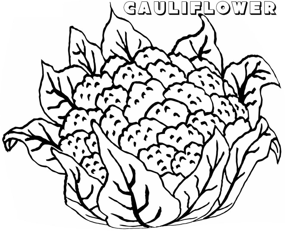 Cauliflower for Kid