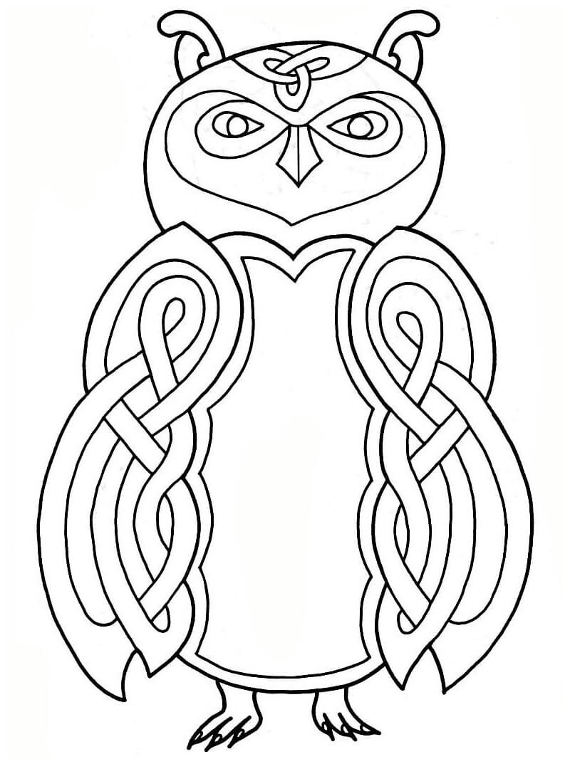 Celtic Owl Design