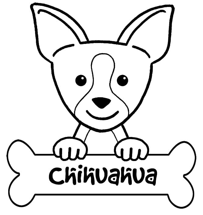 Chihuahua and Bone