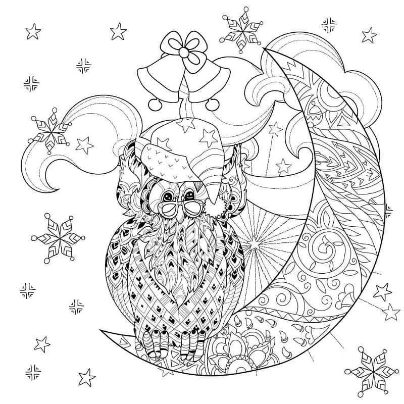 Christmas Owl for Adults