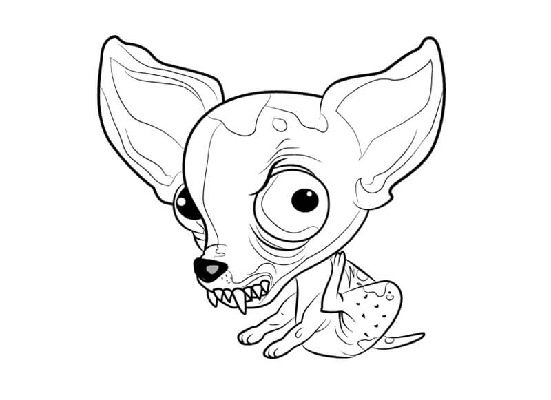 Chucky Chihuahua