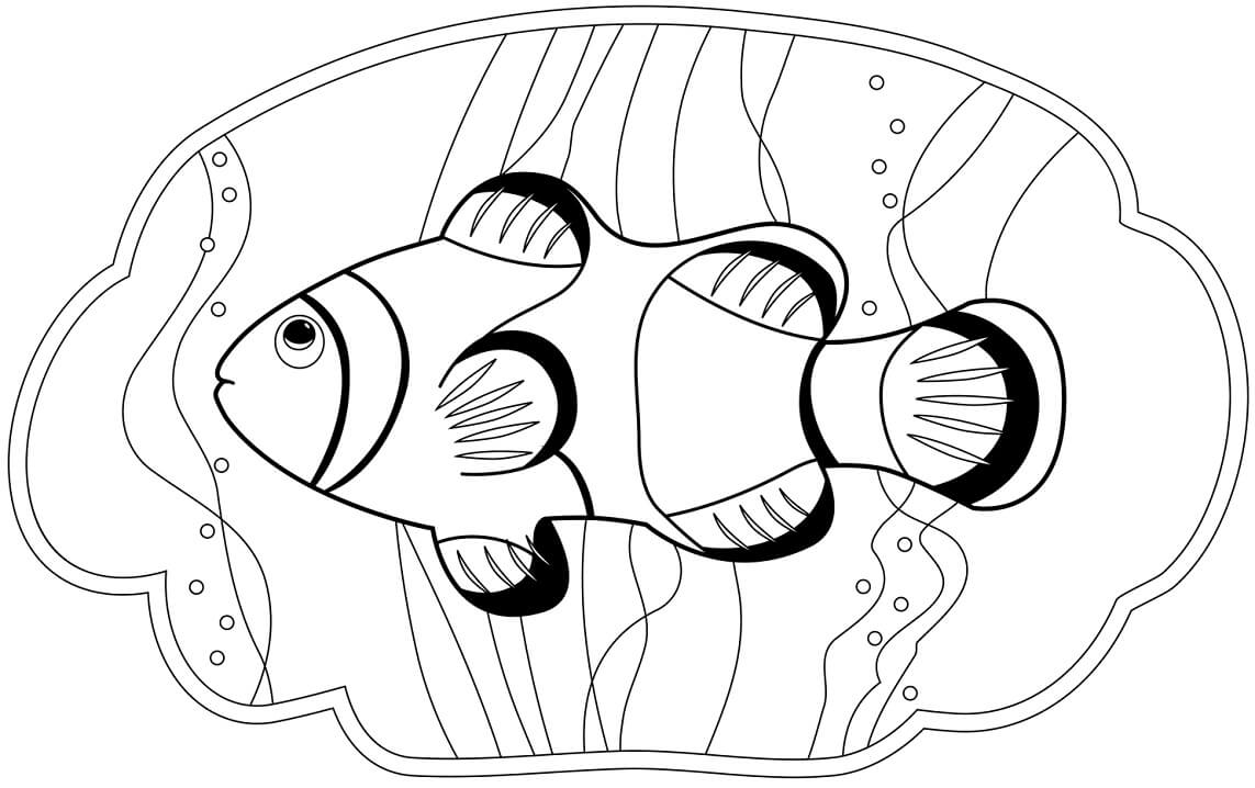 clownfish coloring pages