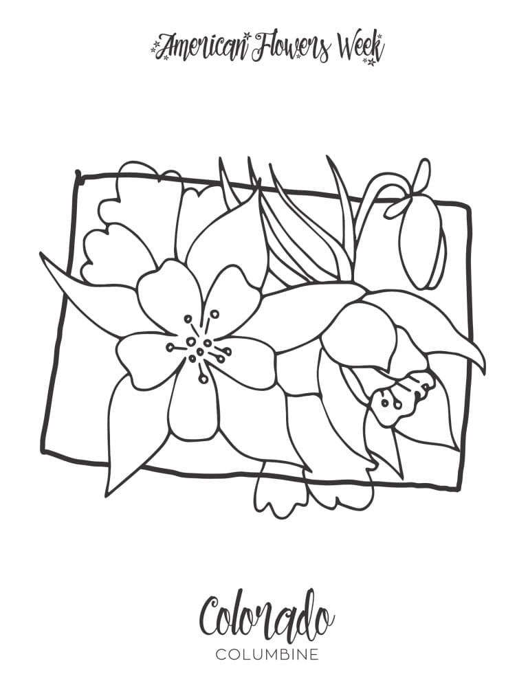 Colorado Columbine State Flower coloring page