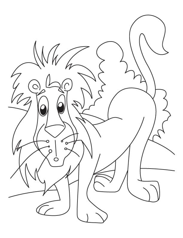 Confused Lion