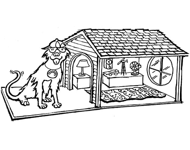 Cool Dog House