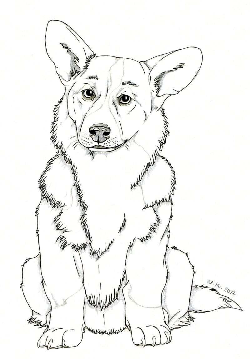 Corgi Coloring Pages - Free Printable Coloring Pages for Kids