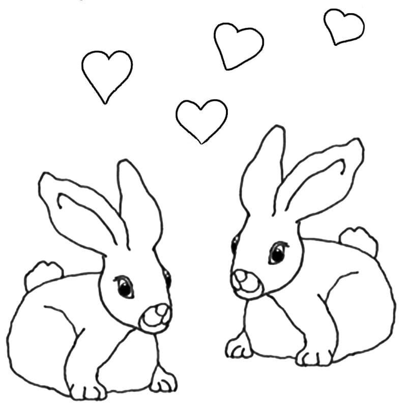Couple Rabbits