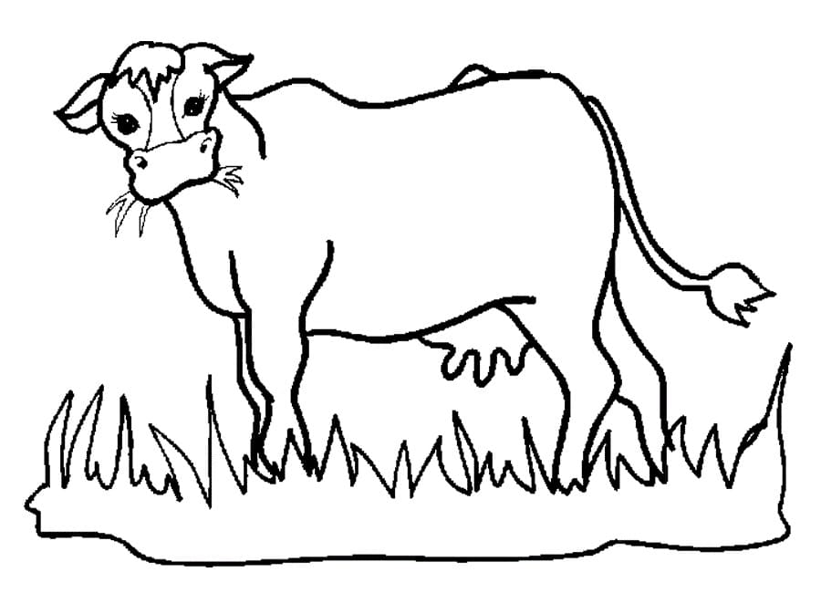 Cow 6 Coloring Page - Free Printable Coloring Pages for Kids