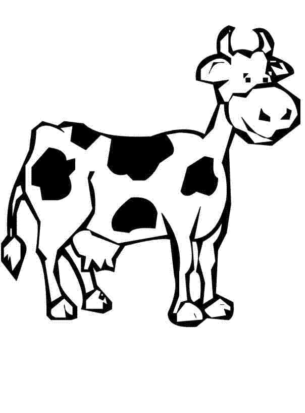 Cow Coloring Pages - Free Printable Coloring Pages for Kids