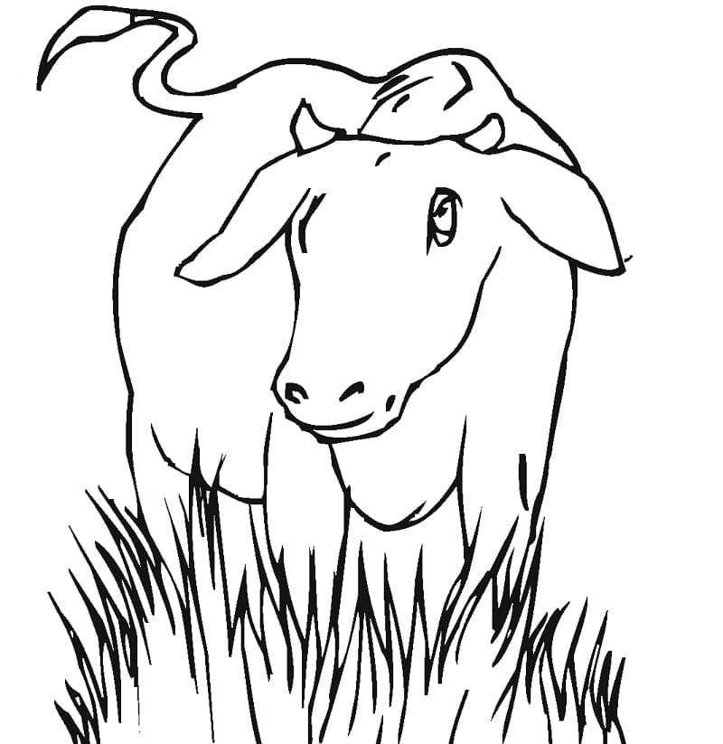 cow-4-coloring-page-free-printable-coloring-pages-for-kids