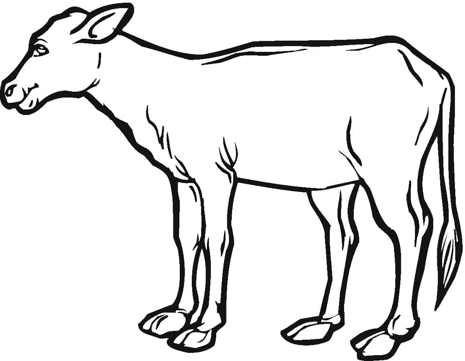 happy-cow-coloring-page-free-printable-coloring-pages-for-kids