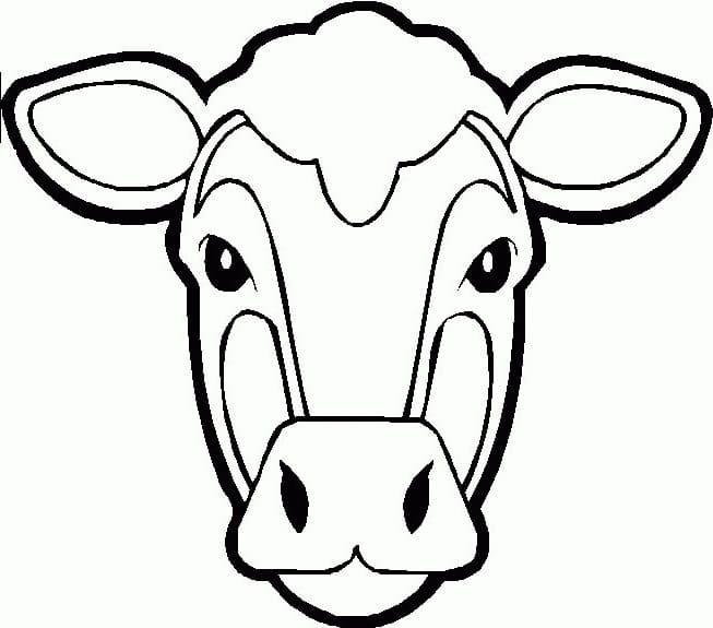 Cow Face Coloring Page Free Printable Coloring Pages for Kids