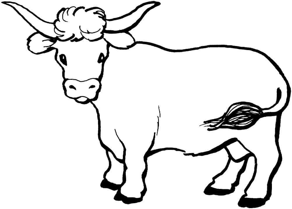 cow face coloring pages printable