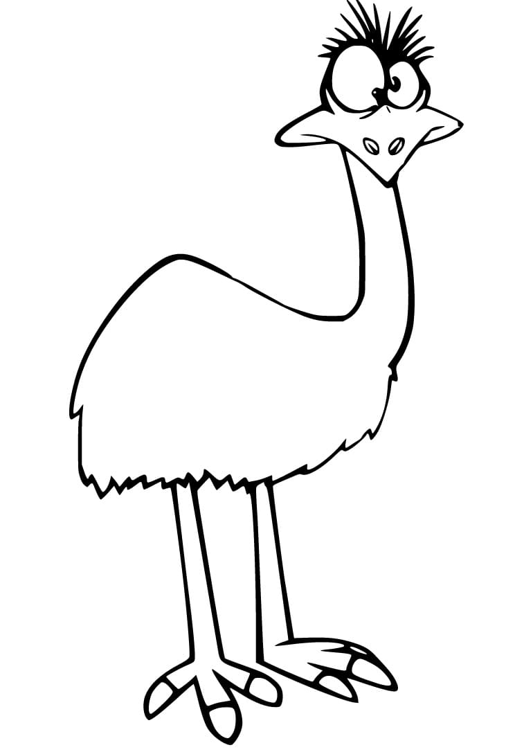 Crazy Emu