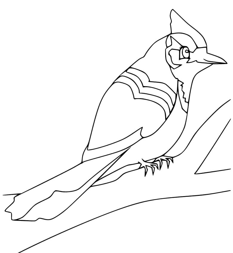 blue-jay-coloring-pages-free-printable-coloring-pages-for-kids