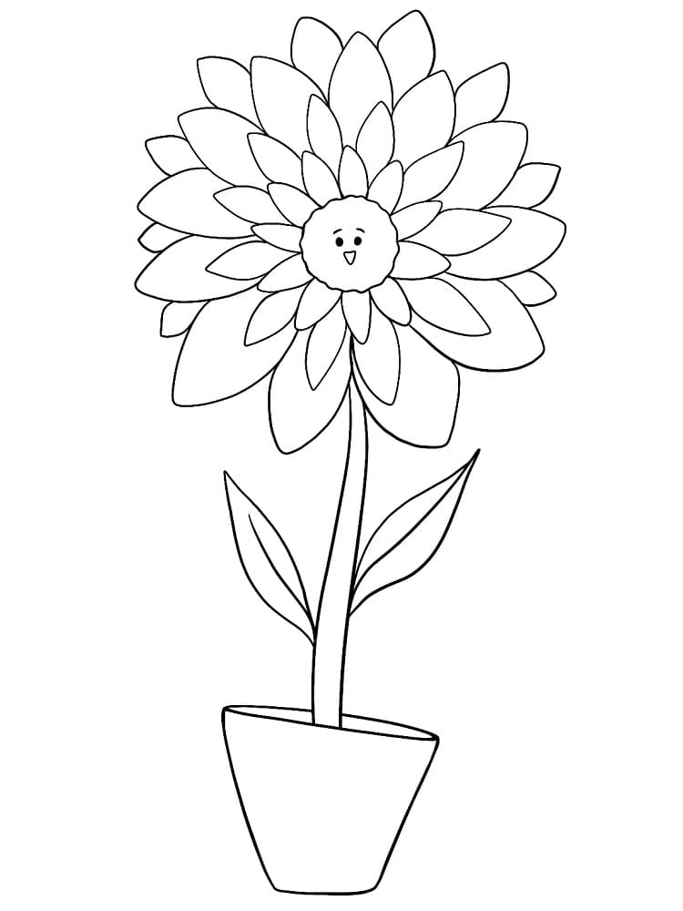 Cute Dahlia Flower