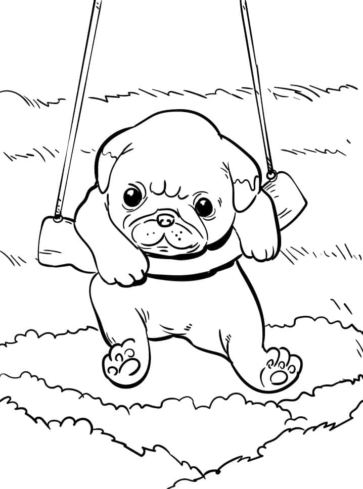 Cute Dog on A Swing