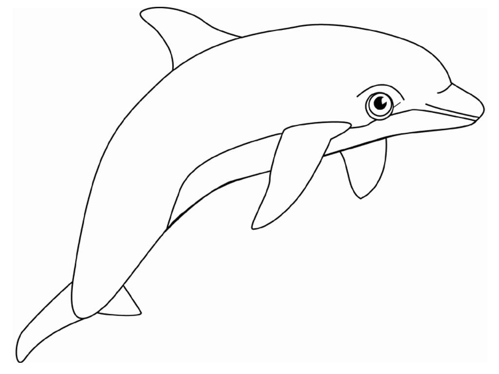 Cute Dolphin Coloring Page   Free Printable Coloring Pages for Kids