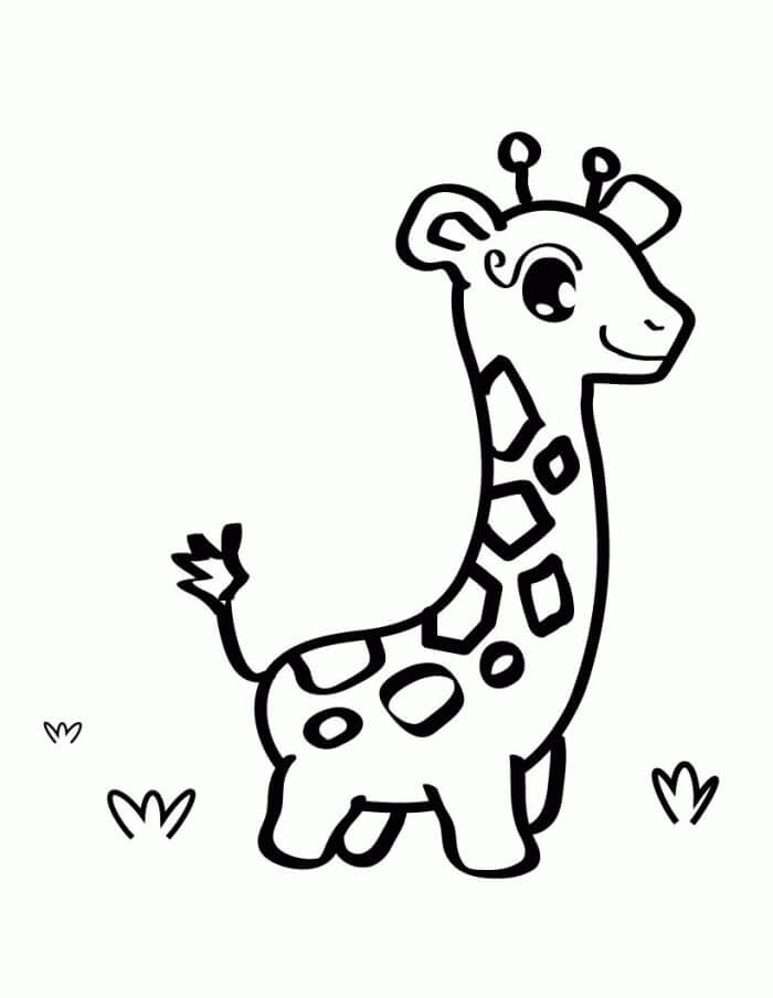 Cute Giraffe for 1 Year Old Kids