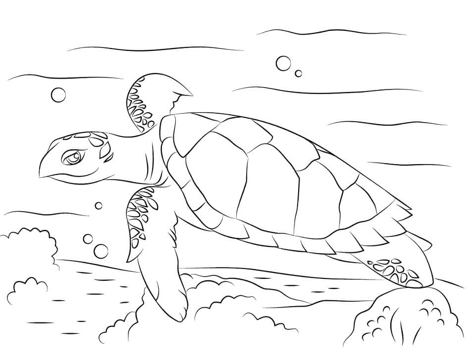 cute hawksbill sea turtle coloring page  free printable