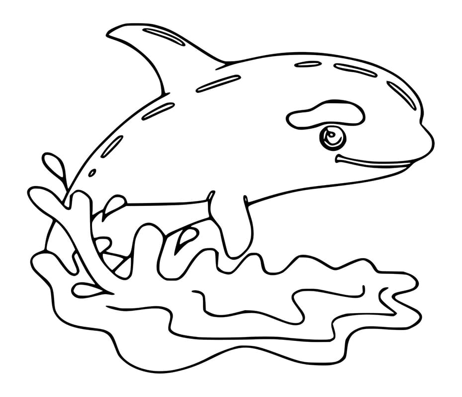 Killer Whale Printable Coloring Page - Free Printable Coloring Pages