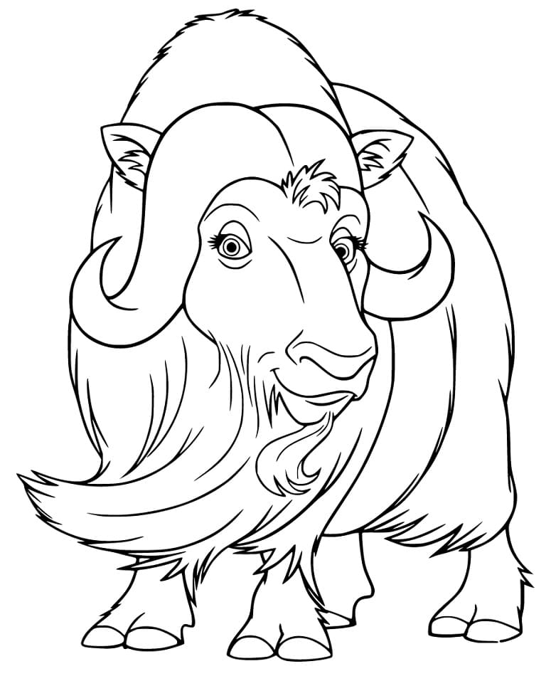 Musk Ox Coloring Page Musk Ox Coloring Page