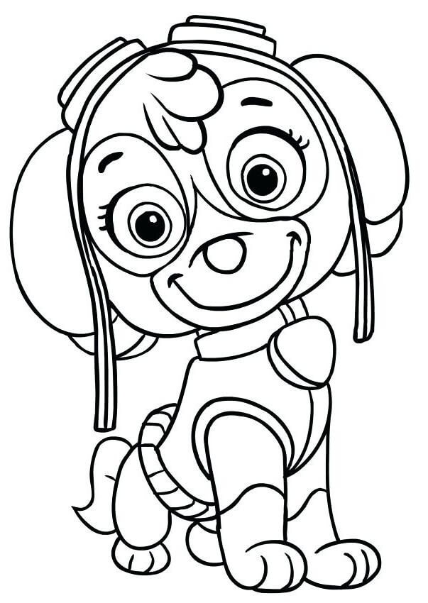 Seriously! 14+ Hidden Facts of Skye Paw Patrol Printable Coloring Pages
