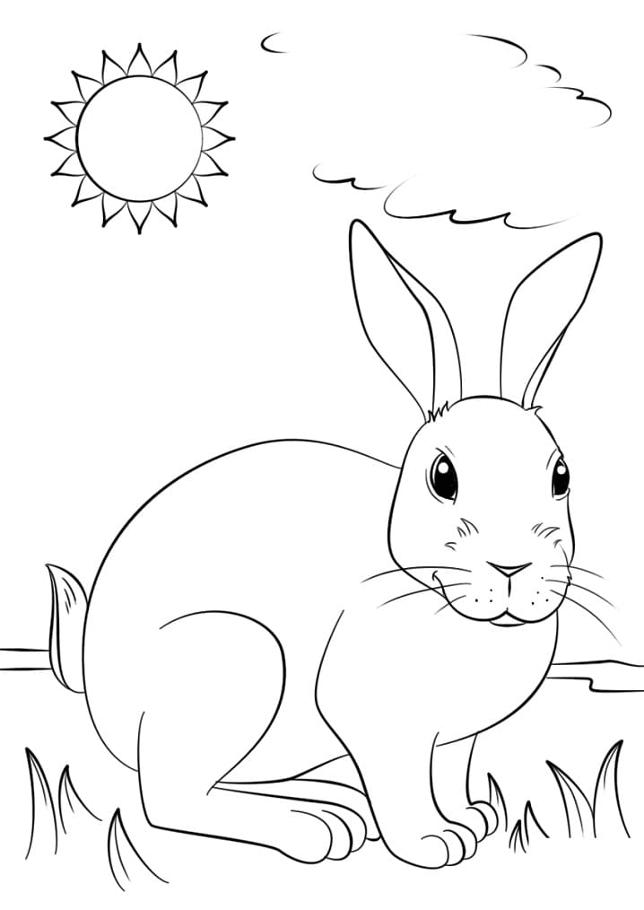 Cute Rabbit on Grass