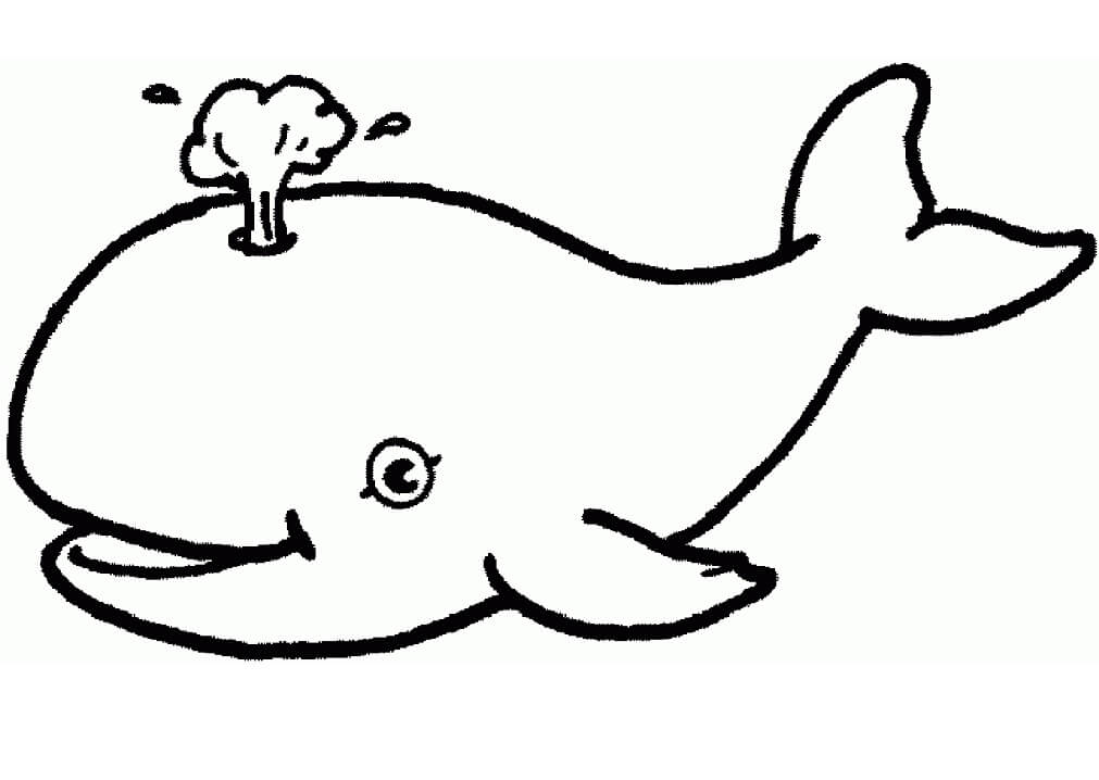 Cute Whale for 1 Year Old Kids