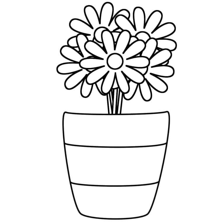 Daisy Flower Pot