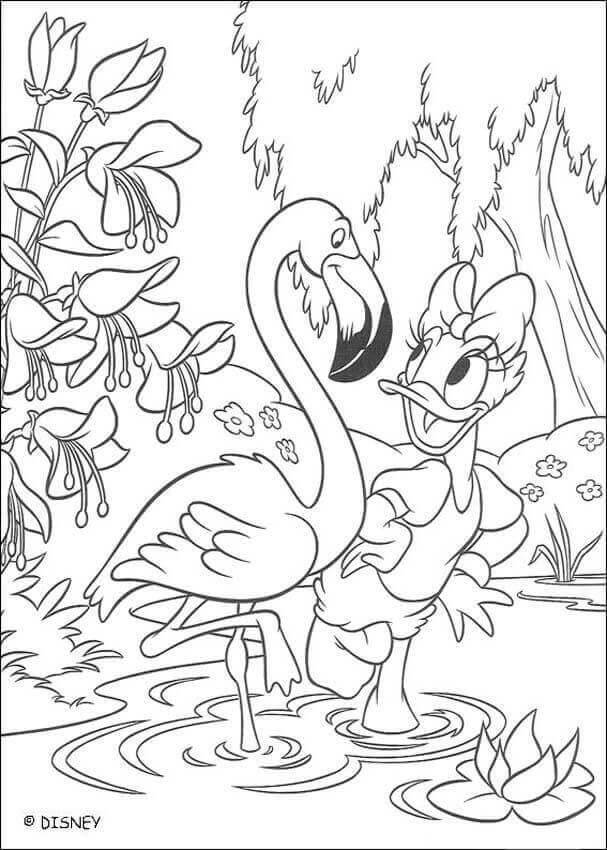 Download Daisy And Flamingo Coloring Page Free Printable Coloring Pages For Kids
