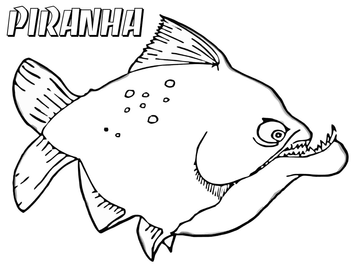 Dangerous Piranha