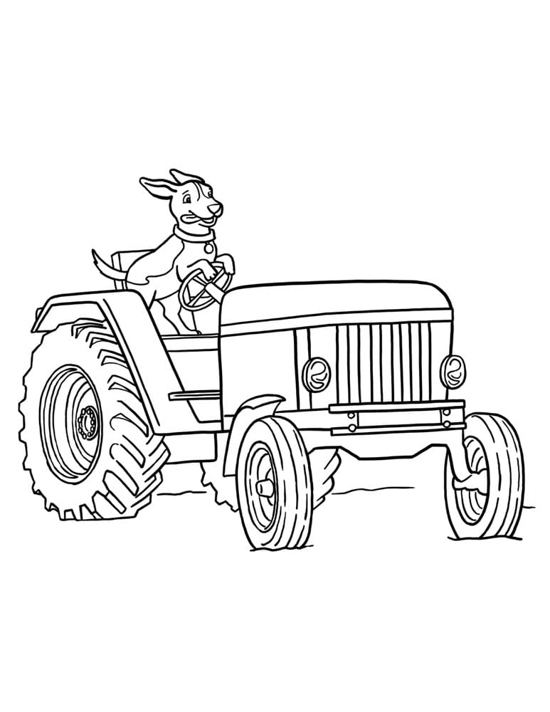 Dog Driving Tractor