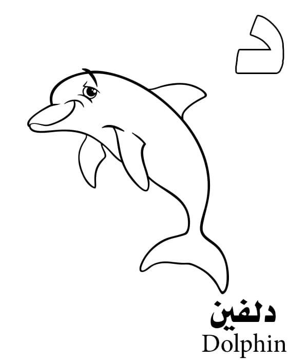 Dolphin Arabic Alphabet