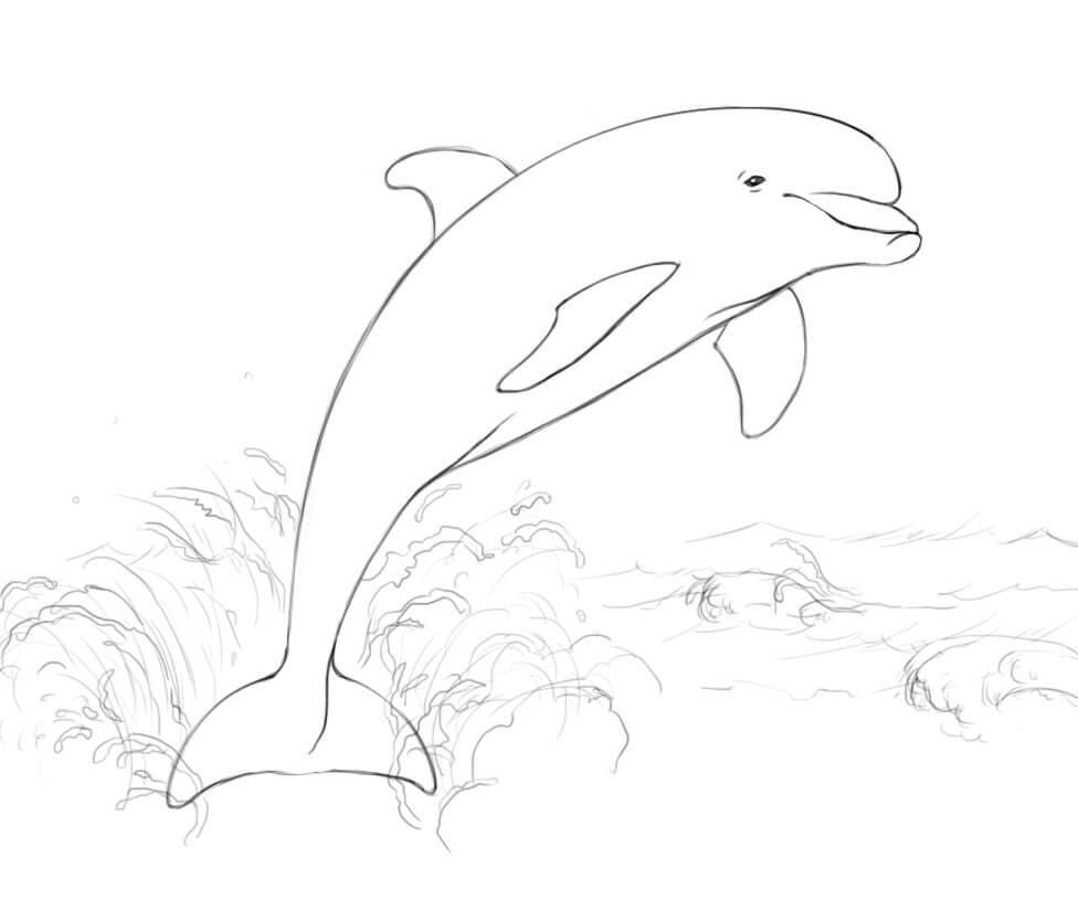 Dolphin Jumping from Water Coloring Page   Free Printable Coloring ...