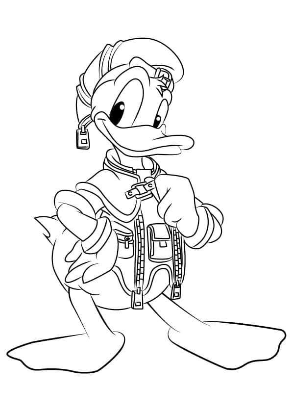 Donald Duck from Kingdom Hearts