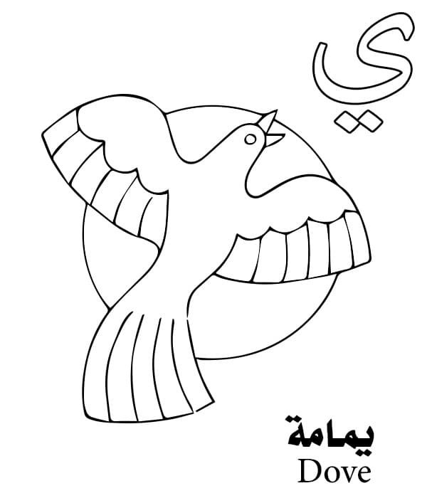 Dove Arabic Alphabet