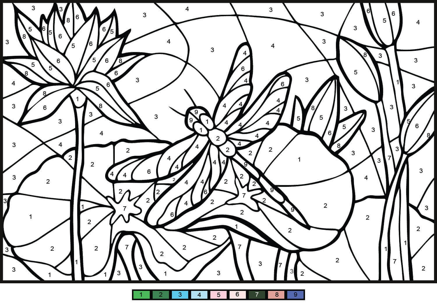 Dragonfly Color By Number Coloring Page Free Printable Coloring Pages For Kids