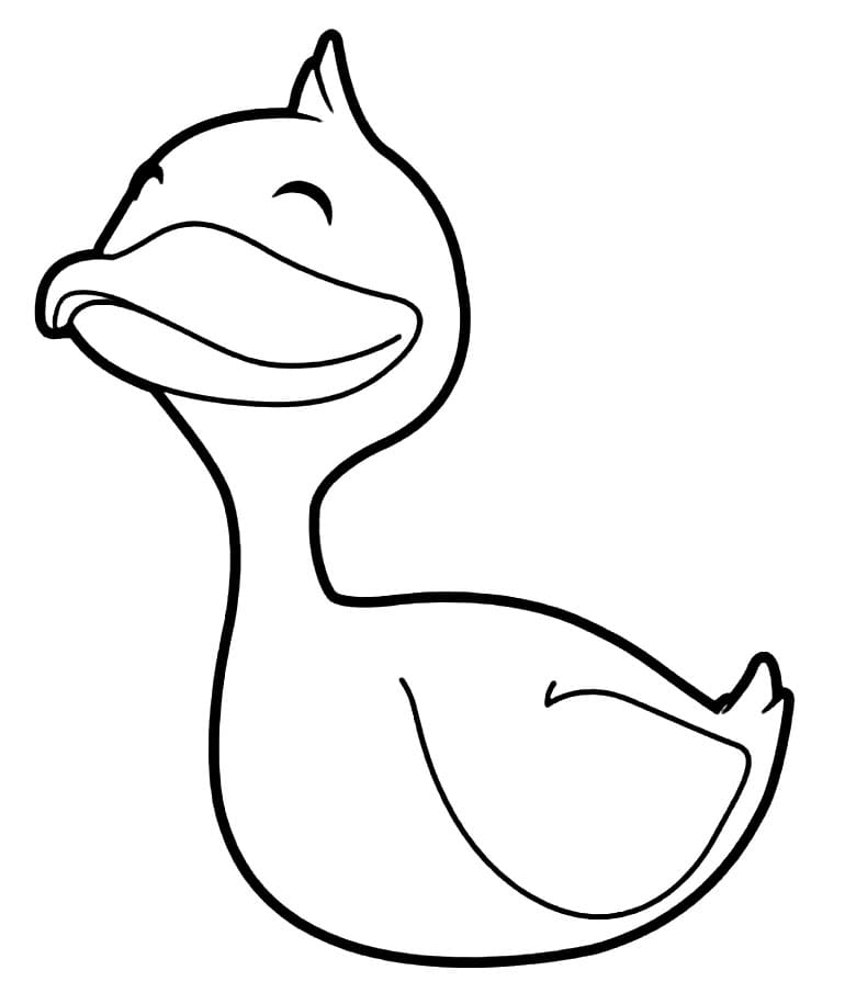 Duck from Uki