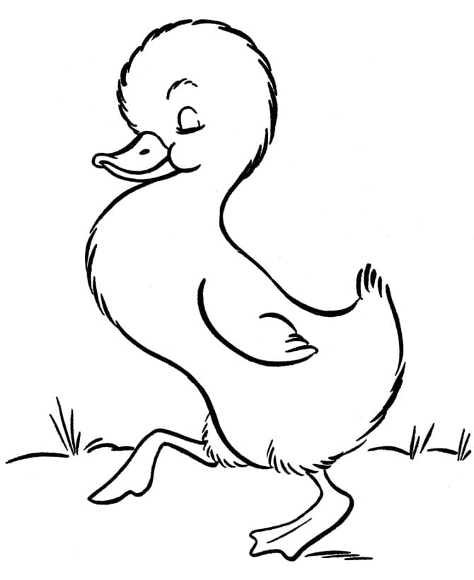 Duckling Coloring Pages - Free Printable Coloring Pages for Kids