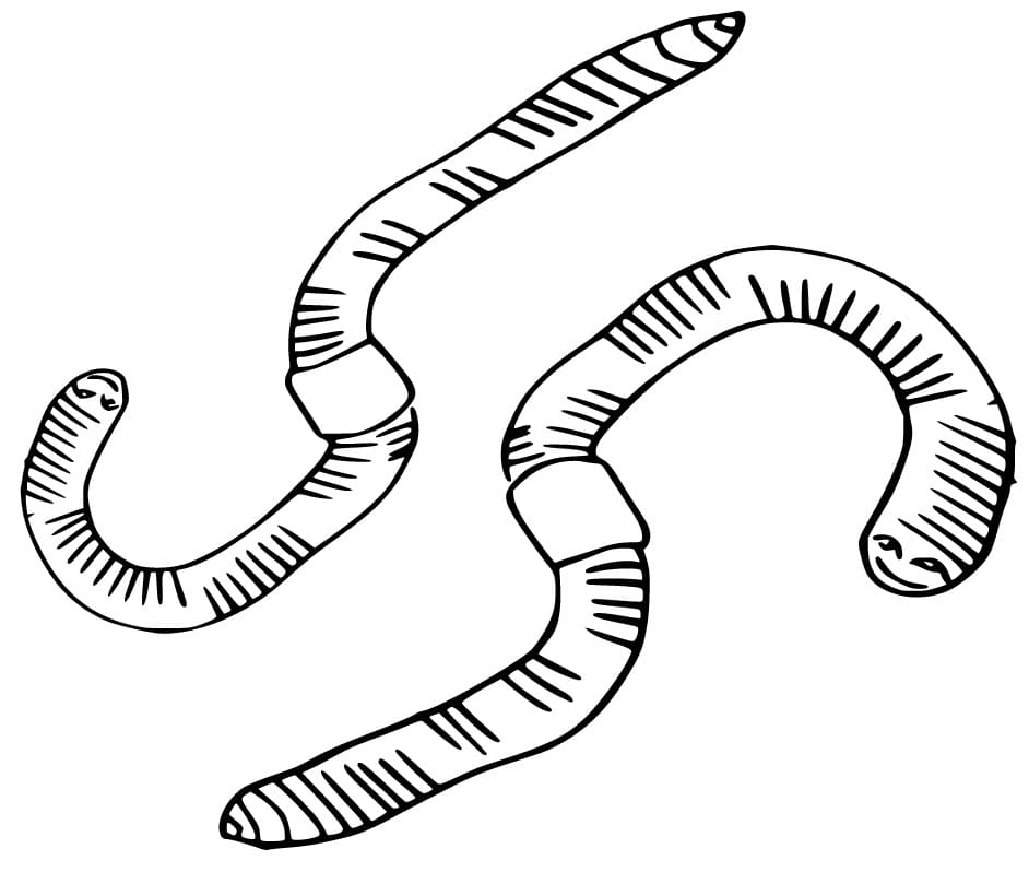 Earthworms