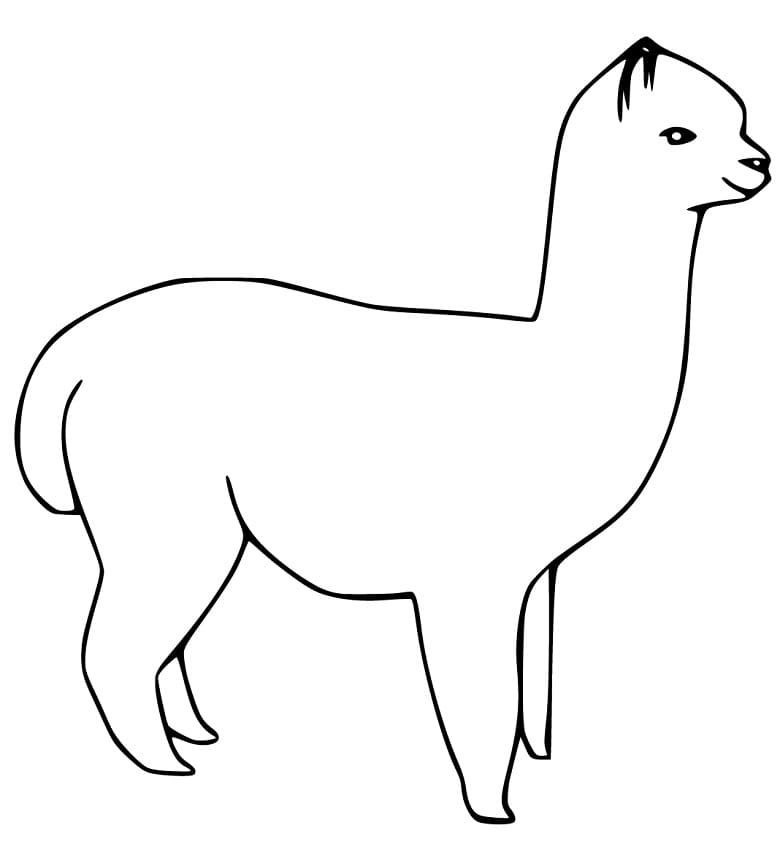 Cartoon Alpaca Coloring Page Free Printable Coloring Pages For Kids