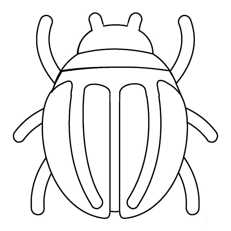 Easy Beetle