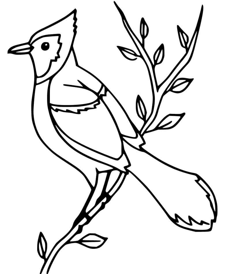 Blue Jay 4 Coloring Page - Free Printable Coloring Pages for Kids