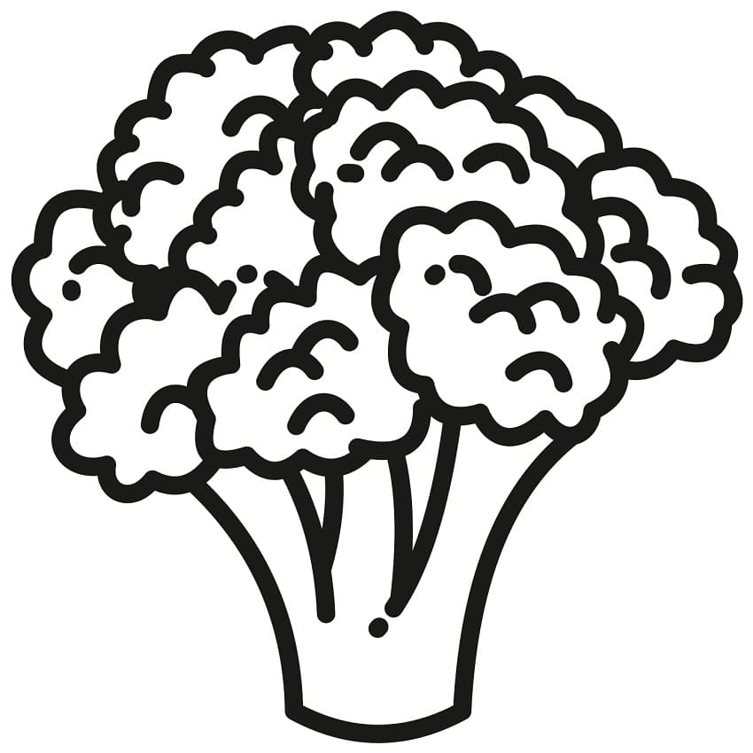 Cauliflower Drawing - HelloArtsy